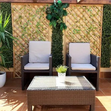 Apartamento ático Dos Terrazas Centro